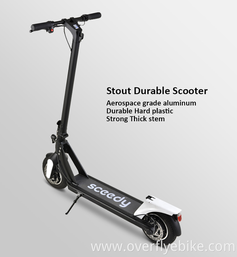 Electric scooter